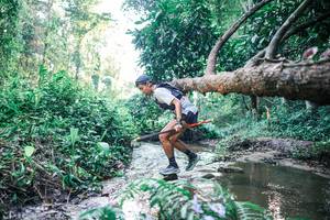 BIB: 
                            <button type="button" onclick="openModal(25430830)" class="btn btn-primary btn-sm float-right btn-popup" data-toggle="modal" data-target=".modal-high-quality">
                        <i class="fas fa-shopping-cart"></i> Add to Cart
                    </button>
                                            <button type="button" onclick="isThisMe(25430830, true)" class="btn btn-success btn-sm float-right btn-popup btn-isme hidden" data-toggle="tooltip" data-placement="bottom" title="นี่คือรูปของคุณใช่ไหม คลิกที่นี่เพื่อเอาเข้าอัลบั้ม">
                        <i class="fas fa-plus"></i> Add to album
                    </button>
                    <button type="button" onclick="isThisMe(25430830, false)" class="btn btn-warning btn-sm float-right btn-popup btn-isnotme hidden">
                        <i class="fas fa-ban"></i> Remove from album
                    </button>